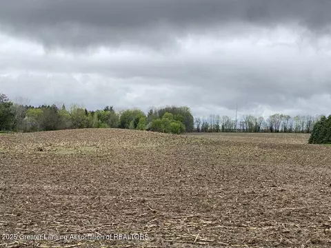 00 W Cutler Rd, Dewitt, MI 48820 photo 7
