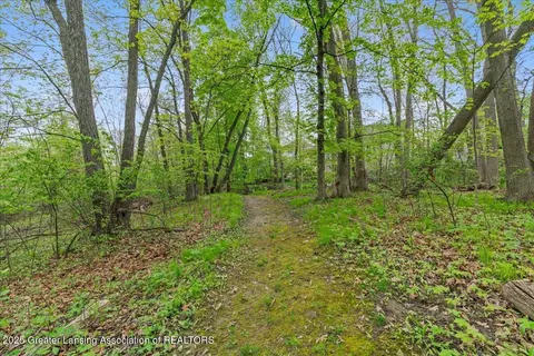 2059 Arbor Meadows Dr, Dewitt, MI 48820 photo 34