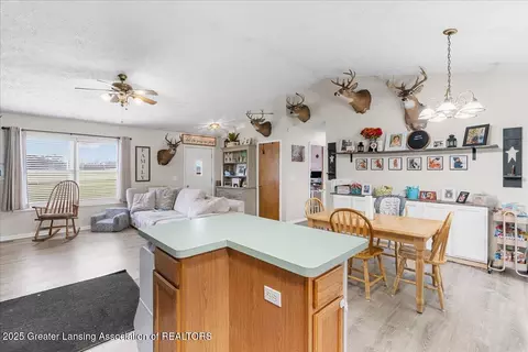 5669 Elm Rd, Olivet, MI 49076 photo 13