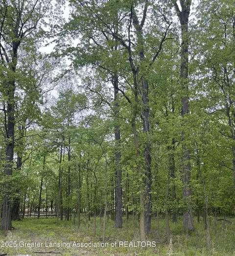 0 W Hyde Rd, Saint Johns, MI 48879 photo 5