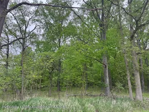 0 W Hyde Rd, Saint Johns, MI 48879 photo 2