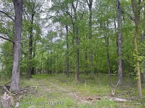 0 W Hyde Rd, Saint Johns, MI 48879