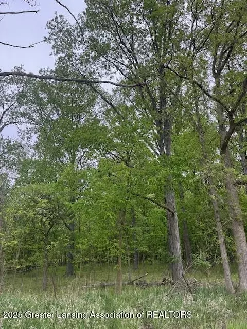 0 W Hyde Rd, Saint Johns, MI 48879 photo 4