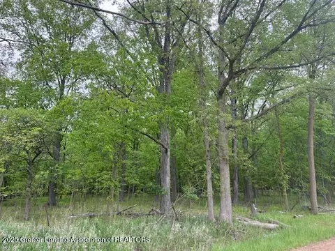 0 W Hyde Rd, Saint Johns, MI 48879 photo 3