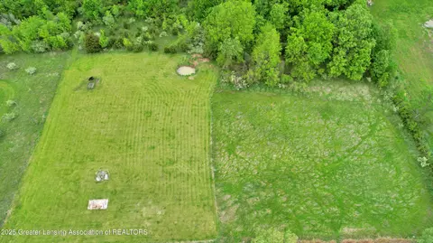 0 E Ridge Rd, Elsie, MI 48831