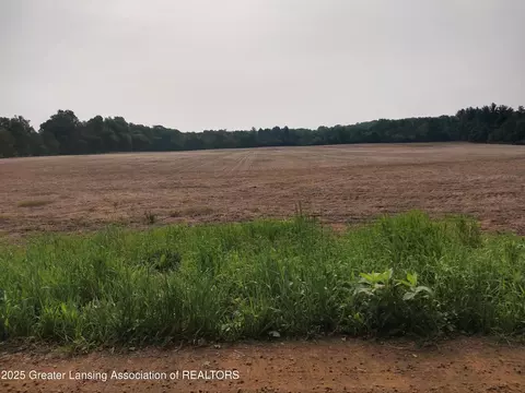 Undisclosed, Charlotte, MI 48813
