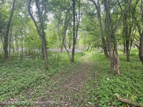 4264 Benjamin Rd, Perry, MI 48872 photo 38