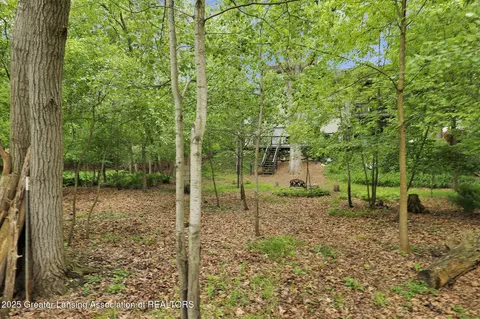 Exterior - 13209 Watercrest Dr, Dewitt, MI 48820 photo 8 of 9