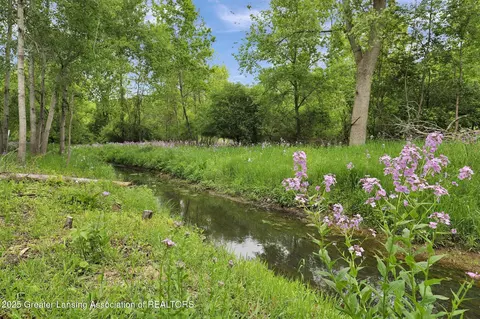 Other - 13209 Watercrest Dr, Dewitt, MI 48820 photo 11 of 11