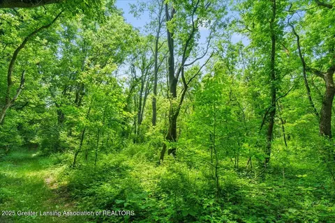 373 103rd Ave, Plainwell, MI 49080 photo 14