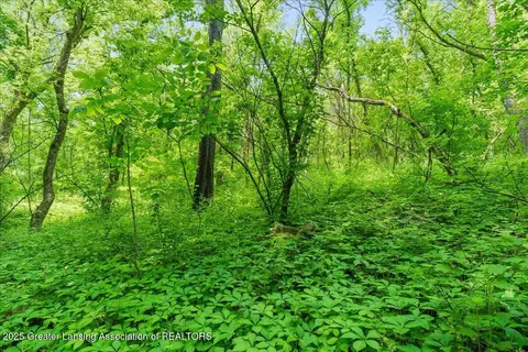 373 103rd Ave, Plainwell, MI 49080 photo 9