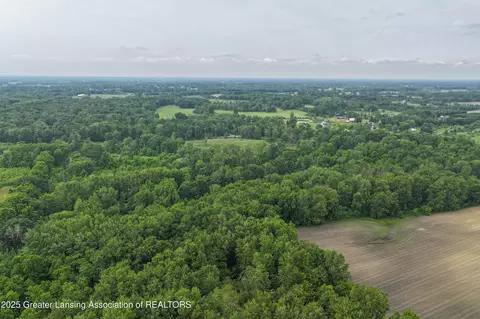 View/Area - 2437 E Winegar Rd, Morrice, MI 48857 photo 5 of 6