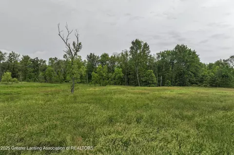 Other - 2437 E Winegar Rd, Morrice, MI 48857 photo 10 of 21