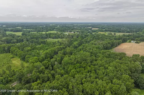 View/Area - 2437 E Winegar Rd, Morrice, MI 48857 photo 4 of 6