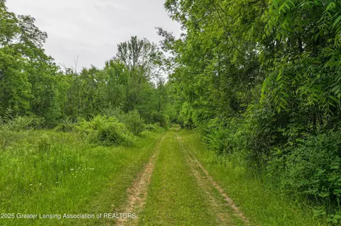 Other - 2437 E Winegar Rd, Morrice, MI 48857 photo 17 of 21
