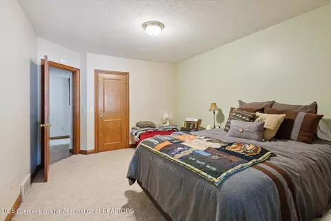 502 W Spring Meadows Ln, Dewitt, MI 48820 photo 39