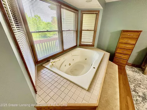 Bath - 1005 Turner Rd, Dewitt, MI 48820 photo 2 of 8