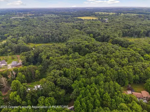 View/Area - 1670 Milton Rd, Perry, MI 48872 photo 10 of 10