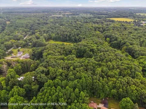 View/Area - 1670 Milton Rd, Perry, MI 48872 photo 8 of 10