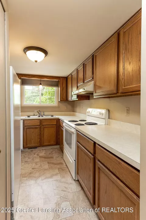 541 Red Cedar Blvd, Williamston, MI 48895 photo 12