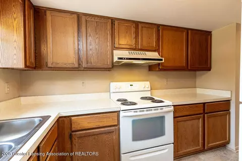 541 Red Cedar Blvd, Williamston, MI 48895 photo 14