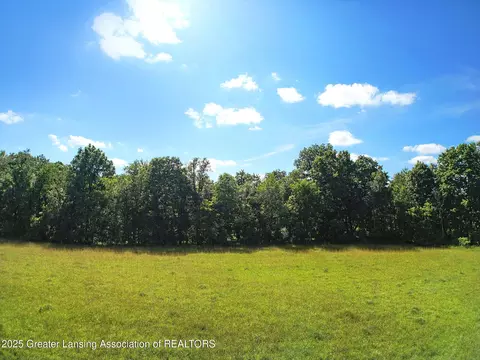 lot11 Minix Dr, Stockbridge, MI 49285