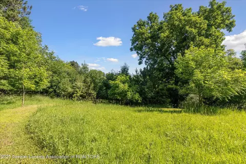 8301 S Dewitt Rd, Dewitt, MI 48820 photo 40