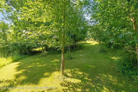 8301 S Dewitt Rd, Dewitt, MI 48820 photo 39