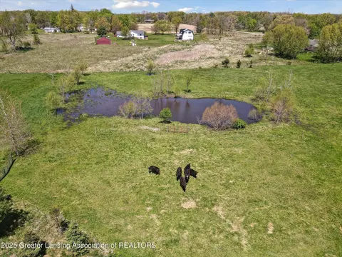 View/Area - 12898 Walker Rd, Leslie, MI 49251 photo 15 of 15