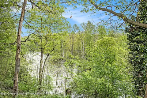 View/Area - 11958 Eden Trl, Eagle, MI 48822 photo 1 of 5