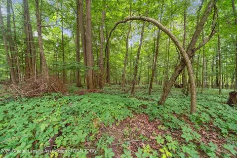 Other - 9428 S Wright Rd, Eagle, MI 48822 photo 13 of 17