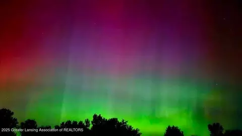 5955 E Parks Rd, Saint Johns, MI 48879 photo 43