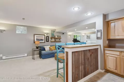 Other - 11660 Hidden Spring Trl, Dewitt, MI 48820 photo 6 of 19