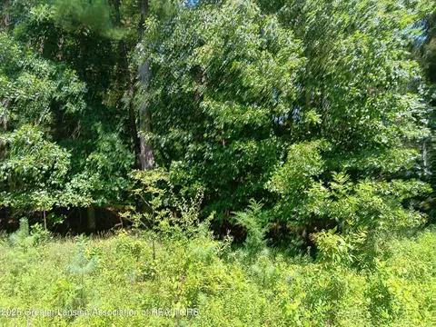 Undisclosed, Owosso, MI 48867