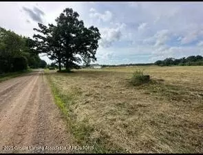 Parcel 1 Hite Road, Bancroft, MI 48414 photo 2