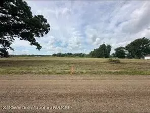 Parcel 1 Hite Road, Bancroft, MI 48414