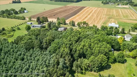 View/Area - 9290 Maple Rd, Lyons, MI 48851 photo 8 of 9