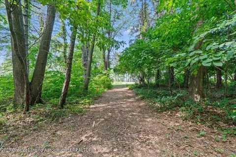 Other - 9290 Maple Rd, Lyons, MI 48851 photo 19 of 22