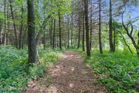 Other - 9290 Maple Rd, Lyons, MI 48851 photo 20 of 22