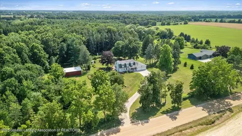 View/Area - 9290 Maple Rd, Lyons, MI 48851 photo 3 of 9