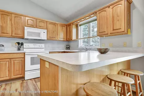 8961 Jacaranda Dr, Dimondale, MI 48821 photo 10
