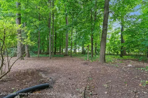 12935 Menominee Dr, Dewitt, MI 48820 photo 34