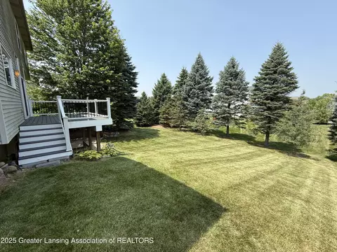 12869 Warm Creek Dr, Dewitt, MI 48820 photo 54