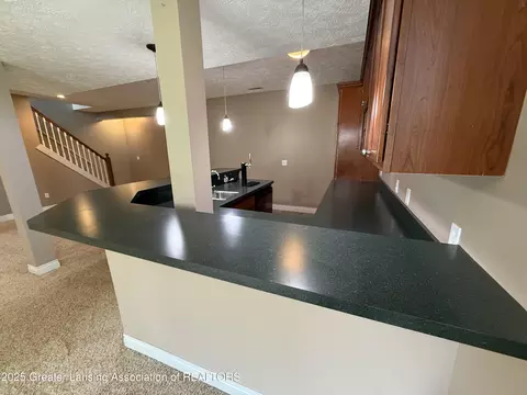 12869 Warm Creek Dr, Dewitt, MI 48820 photo 45
