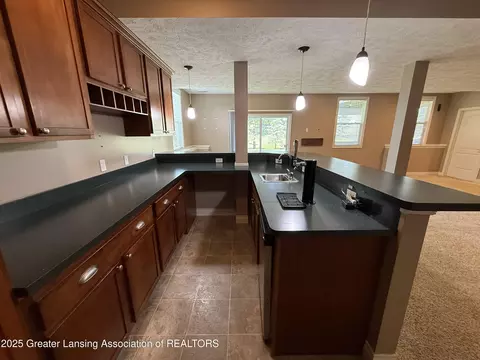 12869 Warm Creek Dr, Dewitt, MI 48820 photo 44