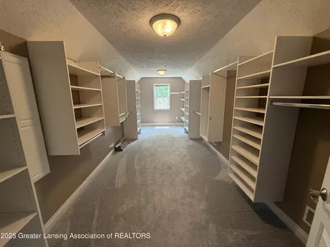 12869 Warm Creek Dr, Dewitt, MI 48820 photo 27
