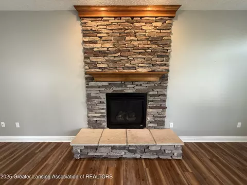 12869 Warm Creek Dr, Dewitt, MI 48820 photo 11