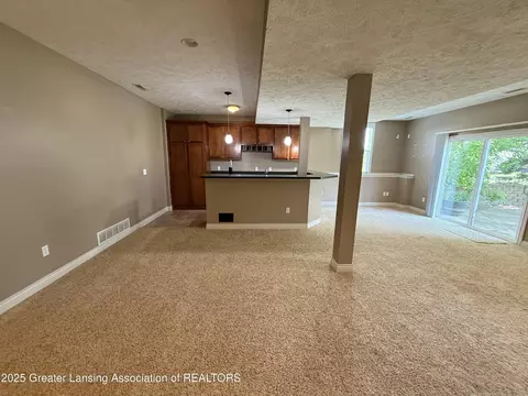 12869 Warm Creek Dr, Dewitt, MI 48820 photo 41