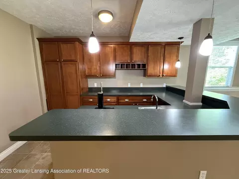 12869 Warm Creek Dr, Dewitt, MI 48820 photo 43