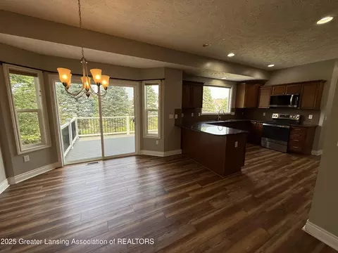 12869 Warm Creek Dr, Dewitt, MI 48820 photo 14